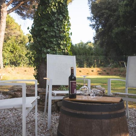 Podere San Filippo B&B-Apartment-Pet Friendly-Rent Bike And Bike Friendly Bibbona Exterior foto